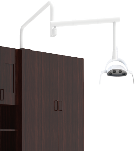 Cabinet mount Whale LED Dental Light