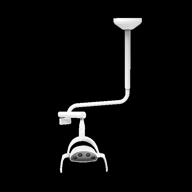 Ceiling mount Whale LED Dental Light