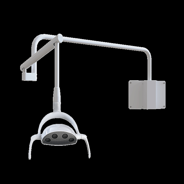 Wall mount Whale LED Dental Light