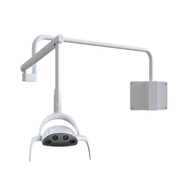 Wall mount Whale LED Dental Light