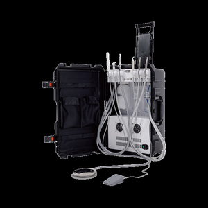 Portable Delivery System Standard