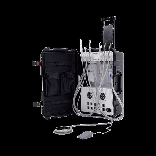 Portable Delivery System Standard
