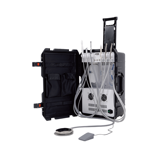 Portable Delivery System with scaler and curing light