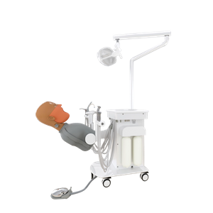 Dental Simulation System
