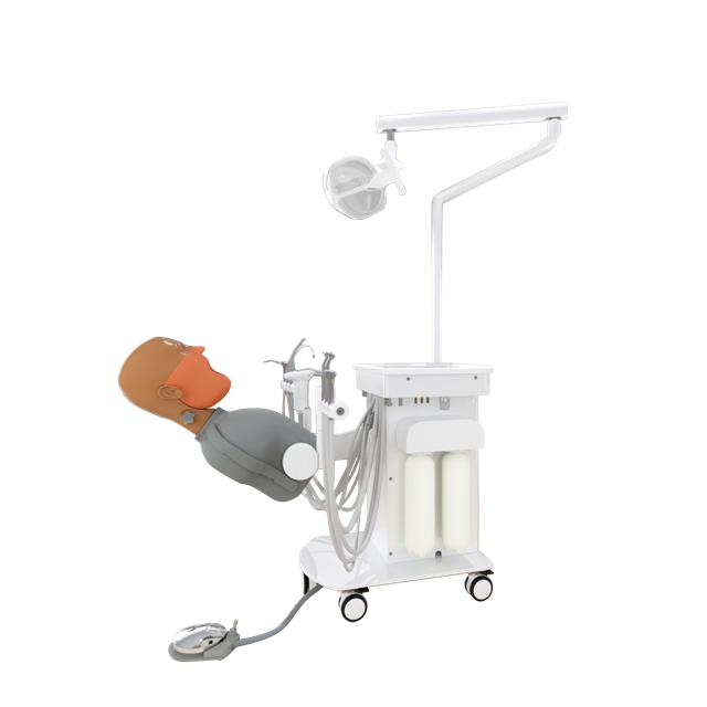 Dental Simulation System