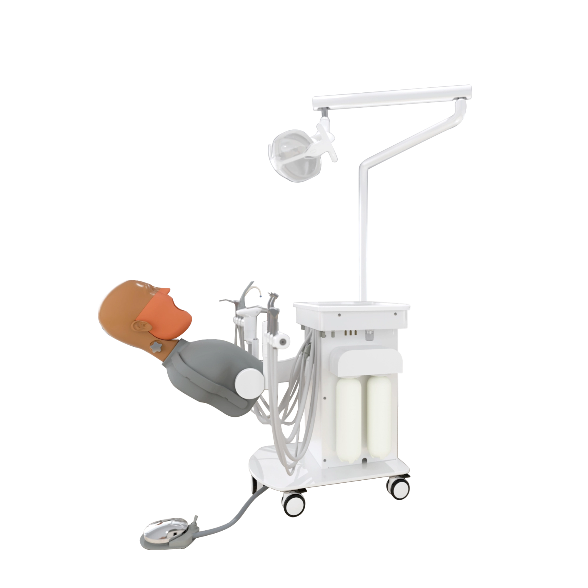Dental Simulation System